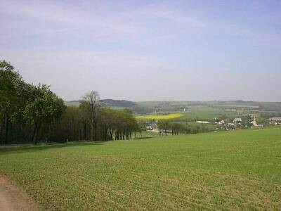 Feldweg neben einem jungen Getreidefeld, links ein Laubwäldchen, in der Ferne Häuser des Dorfes, ein gelbes Rapsfeld und Hügel.