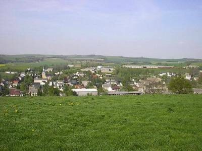 Blick von einer Löwenzahnwiese auf das Dorf mit Kirchturm links, vielen Wohnhäusern und langen Hallen, dahinter Felder und Waldstreifen.