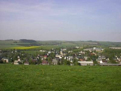 Blick von einer Wiese mit Löwenzahn auf den Ortskern mit Kirchturm und dicht stehenden Häusern, im Hintergrund Felder, ein Rapsfeld und Wald.