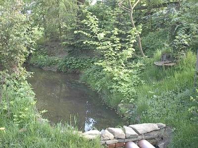 Kleiner, ruhiger Teich mit dicht bewachsenen Ufern zwischen Büschen und Bäumen; im Vordergrund eine niedrige Steinmauer.