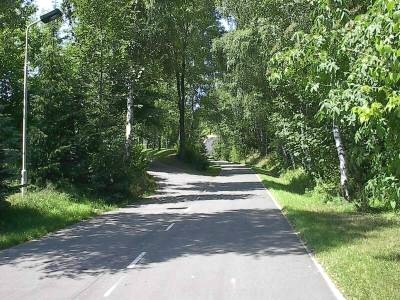 Schmale asphaltierte Straße mit Mittelstreifen führt durch einen sonnigen Laubwald mit Birken; links steht eine Laterne.