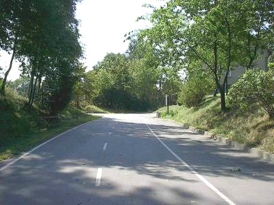 Asphaltierte Bahn mit weißen Randlinien und Mittelstreifen führt in einer leichten Kurve zwischen Bäumen und grasbewachsenen Böschungen hindurch.