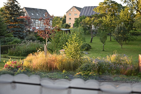 Garten im Abendlicht mit Staudenbeet, Gräsern und jungen Obstbäumen auf einer Wiese, dahinter ein Fachwerkhaus und ein Dach mit Solaranlage.