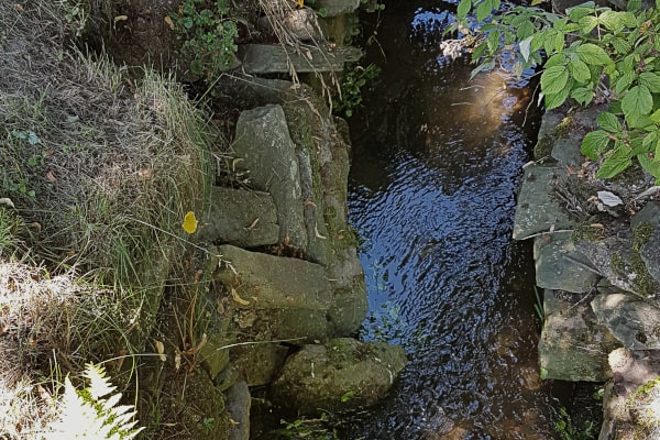 Dunkles, leicht gekräuseltes Wasser zwischen zwei Ufermauern aus bemoosten, lose geschichteten Natursteinen, daneben trockenes Gras und Laub.