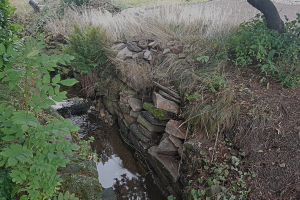 Teilweise eingefallene Natursteinmauer am Ufer eines kleinen Bachs, von trockenem Gras und Farn überwuchert, oben lose aufgehäufte Steine.