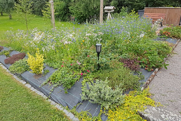 Bunt blühendes Beet mit Kornblumen, Stauden und Bodendeckern auf dunklem Unkrautvlies, davor eine Solarleuchte, im Hintergrund ein Vogelhäuschen auf einem Pfahl.